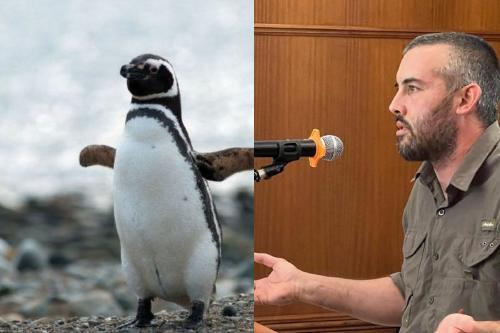 crimen ambiental crimen ambiental