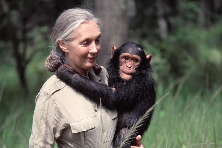 jane goodall bioguia