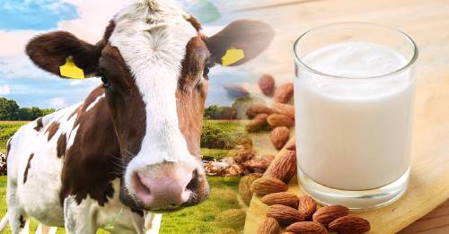 caen las ventas leche animal vegetal