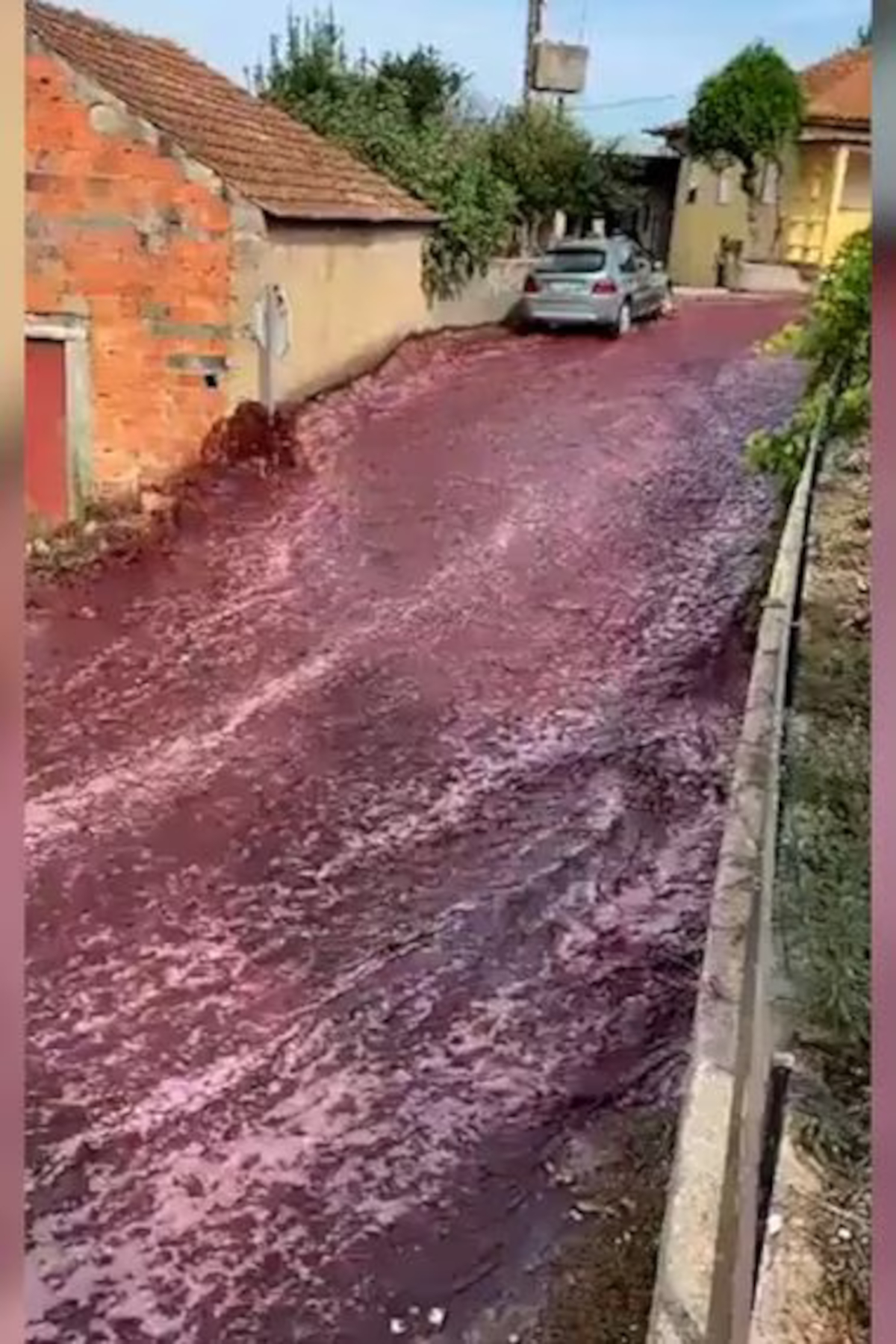 ríos de vino Portugal2 ríos de vino Portugal2