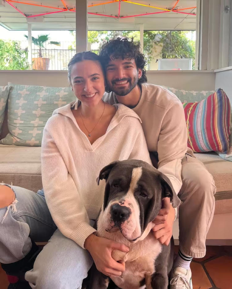 perro grande perro grande