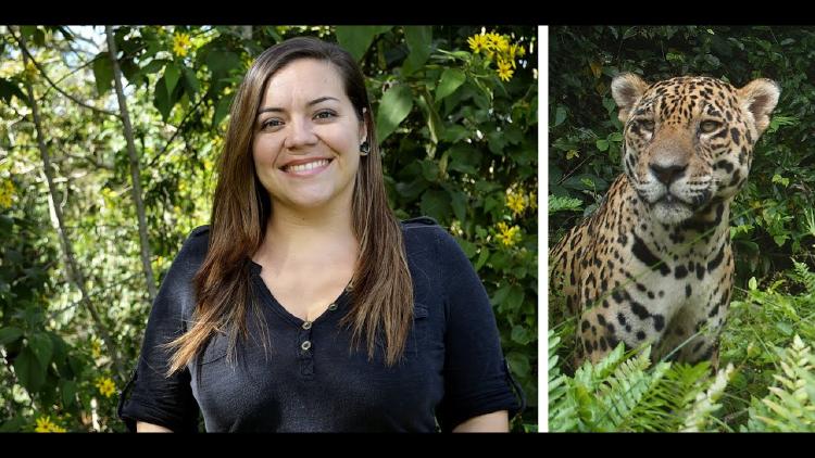 maxresdefault maxresdefault