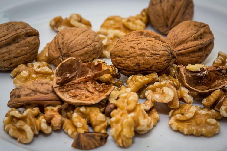 walnut 2816935 1280 Nueces