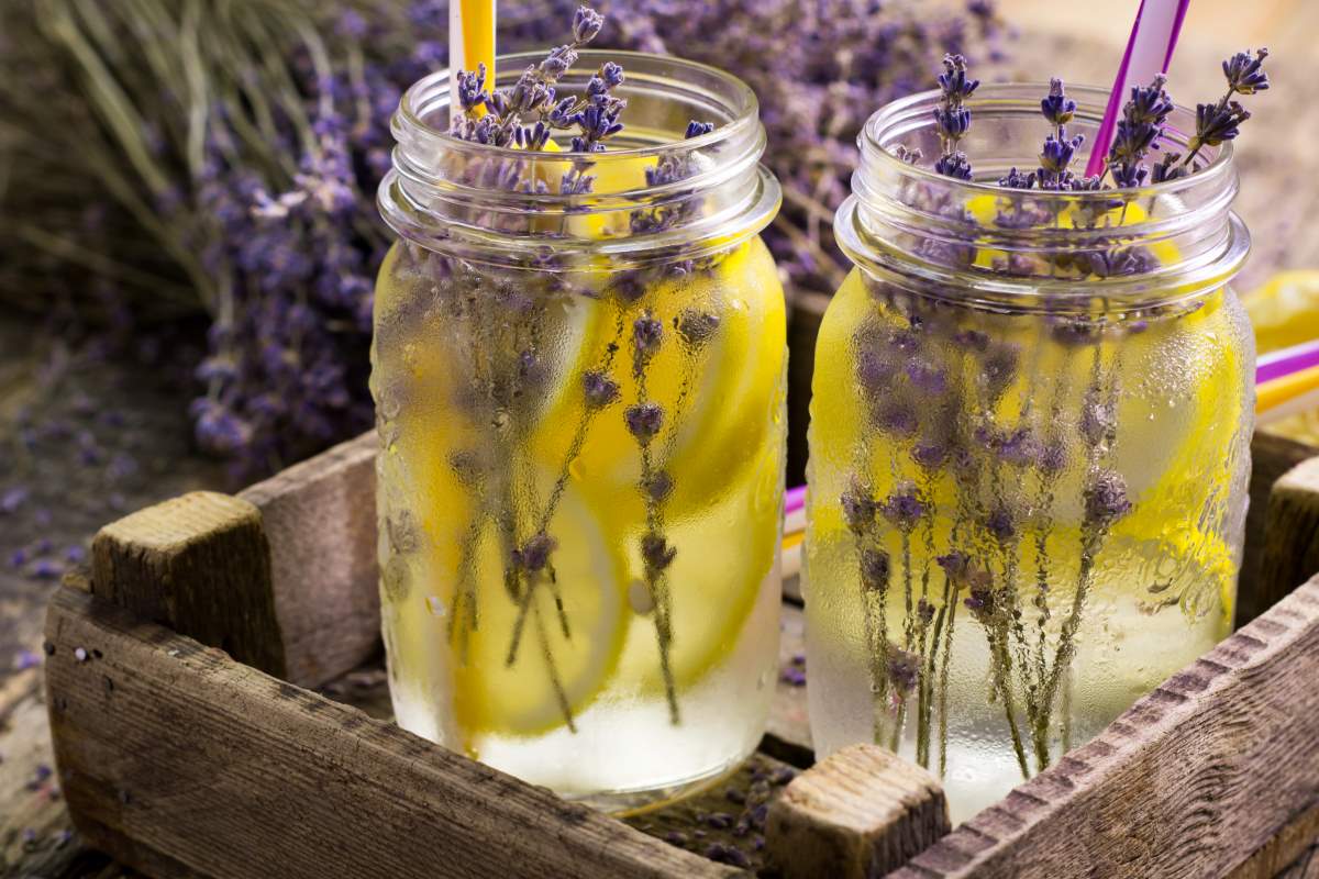 Limonada de lavanda Limonada de lavanda