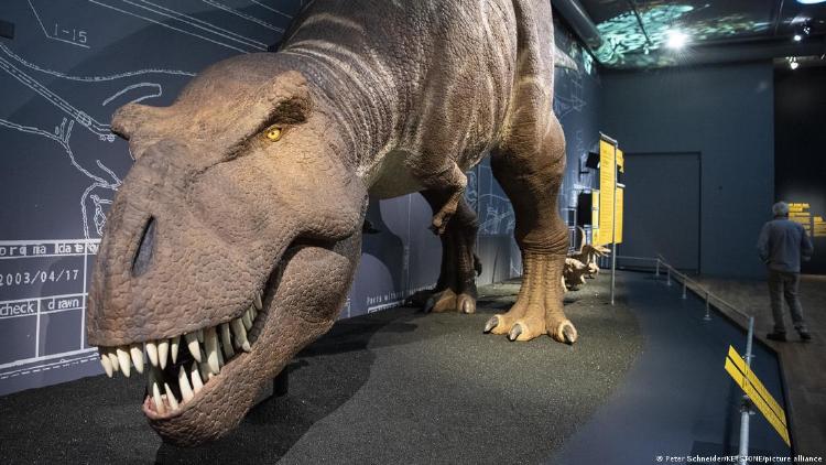 65194916_906 (1) 65194916_906 (1)