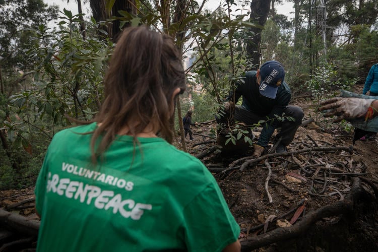 Créditos: Greenpeace Créditos: Greenpeace