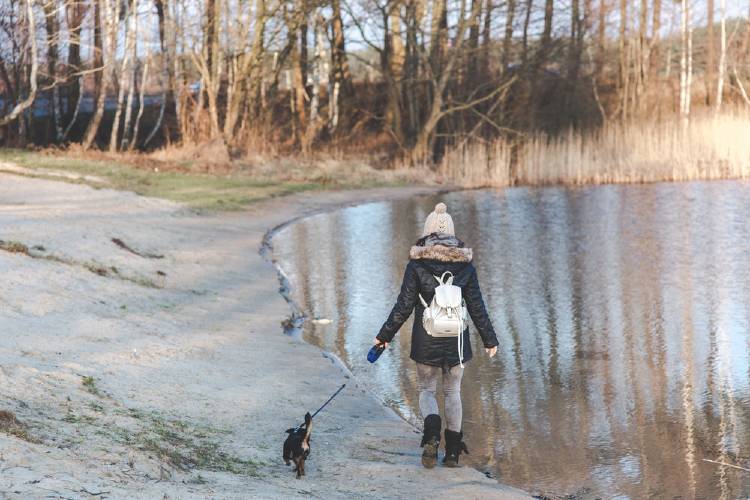 Pasear al perro es una forma de combatir el sedentarismo