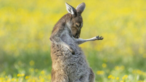 Portada 3 750x375 Portada 3 750x375