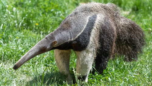 Diseño sin título 2023 10 20T004104.907 Diseño sin título 2023 10 20T004104.907