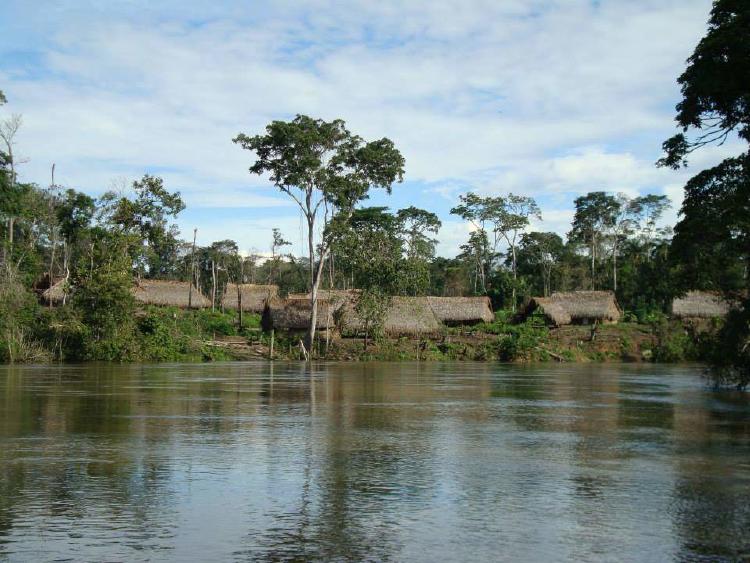 Aldea yanomami en Venezuela