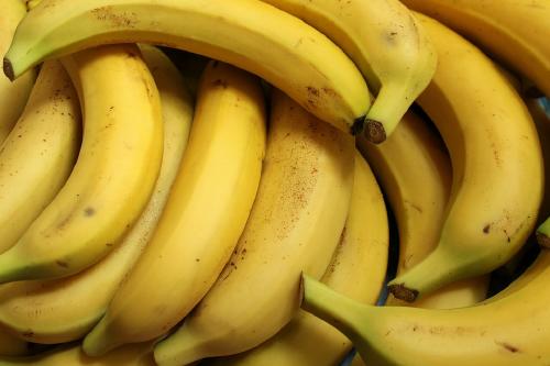 Aprende a fabricar tu propio fertilizante orgánico con cáscaras de plátano