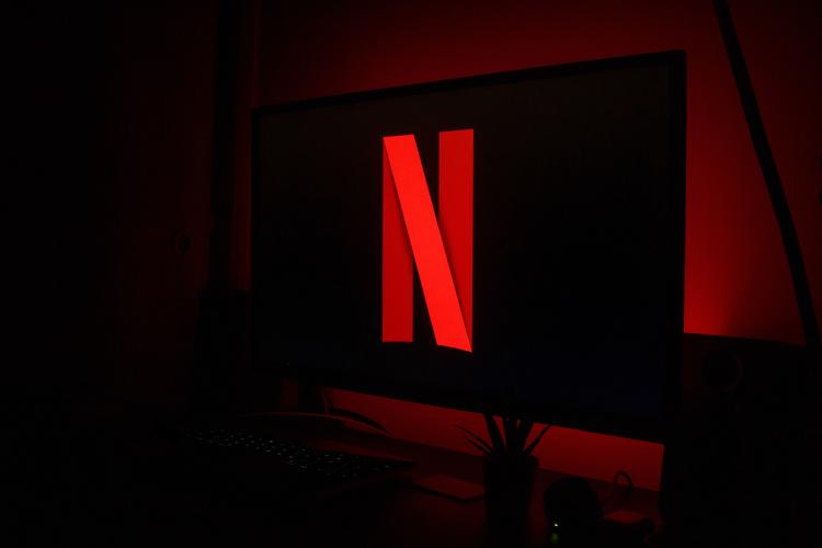 netflix dar de baja