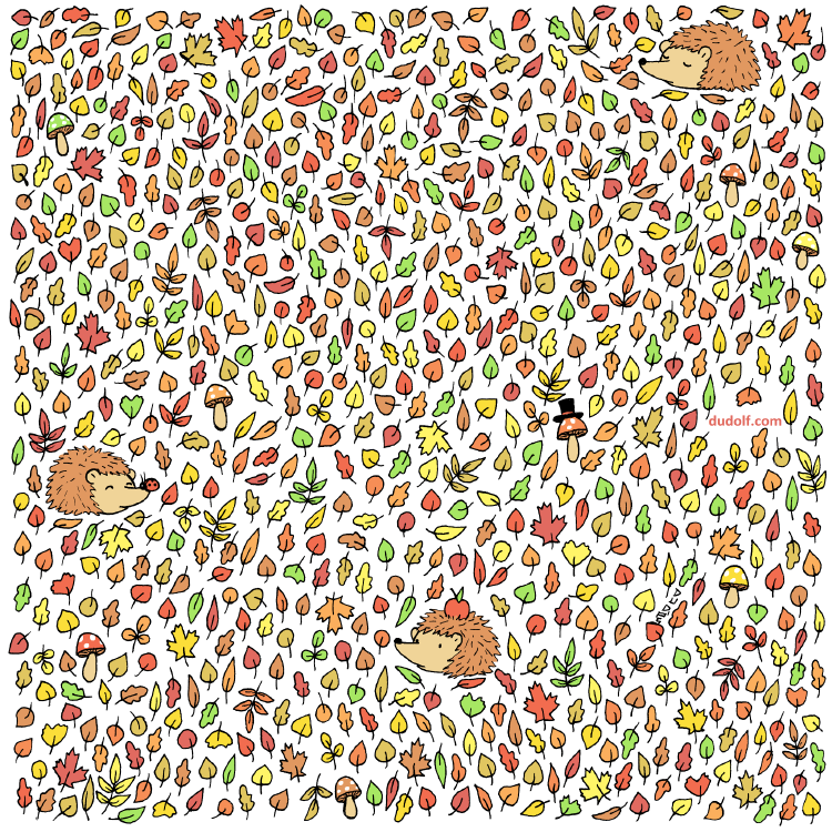 Reto visual Reto visual