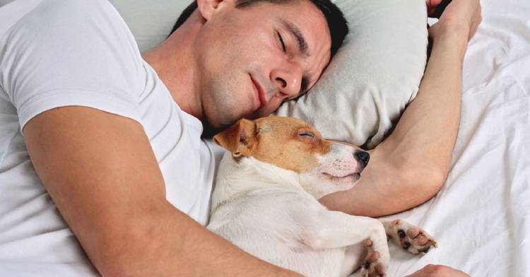 dormir perro Un hombre duerme con su perro