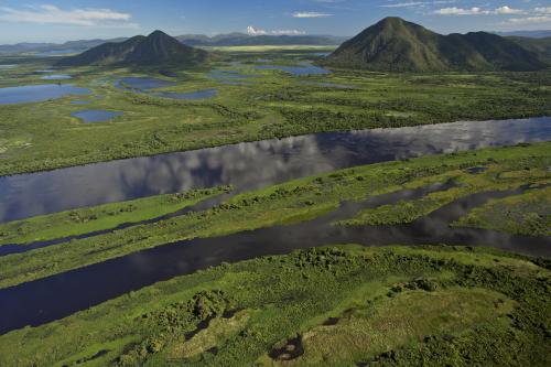 Humedales: ¿por qué son nuestros aliados para enfrentar la emergencia climát