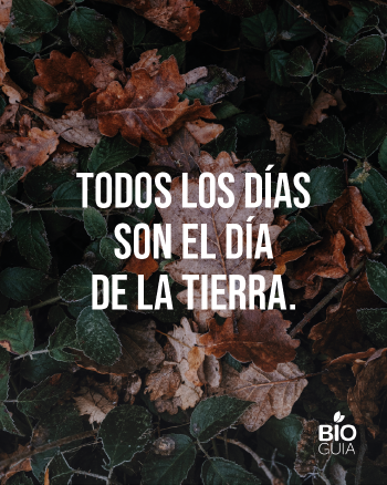 Frases para web (10) Frases para web (10)