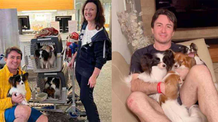 perros aeropuerto2 perros aeropuerto2