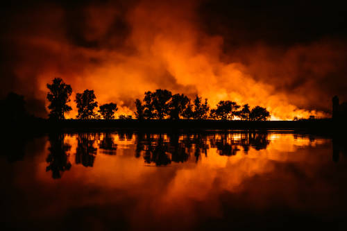 incendios forestales