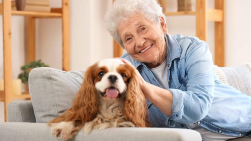 anciana perro España pide permitir mascotas en hogares de ancianos. (Foto: Pinterest)