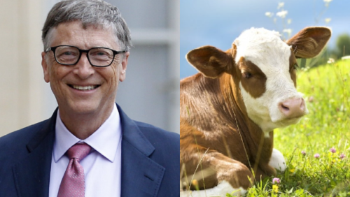 _portada bioguia 2023 01 26T115205.133 _portada bioguia 2023 01 26T115205.133