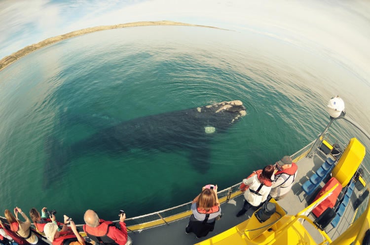 YS_Cubierta superior YS_Cubierta superior