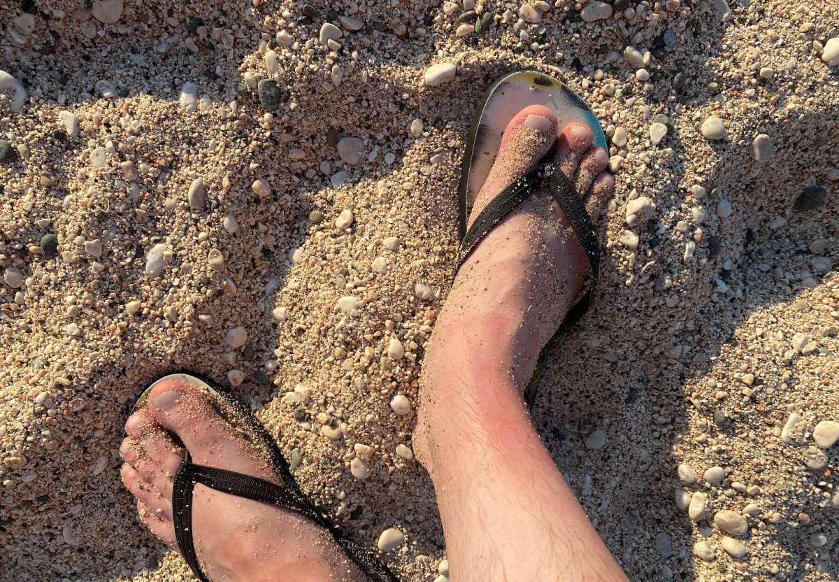 Depositphotos 534945624 XL (1) Depositphotos 534945624 XL (1)