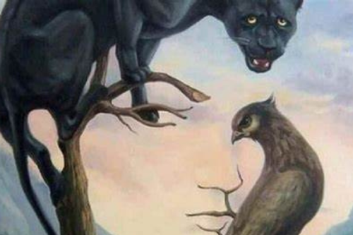 test visual ¿Pantera, ave o rostro? Lo que veas primero dice mucho más de vos de lo que imaginás. (www.mdzol.com)