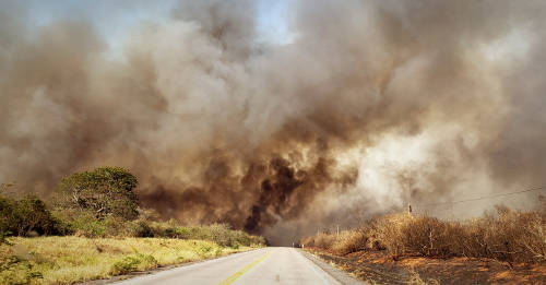 Los incendios forestales de Bolivia han consumido 5 millones de hectáreas y no s