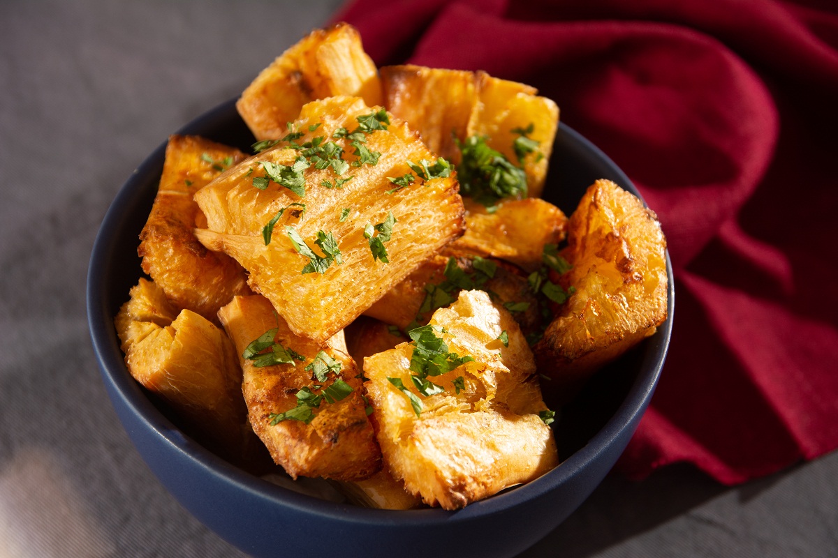 Planta de yuca 3 Planta de yuca