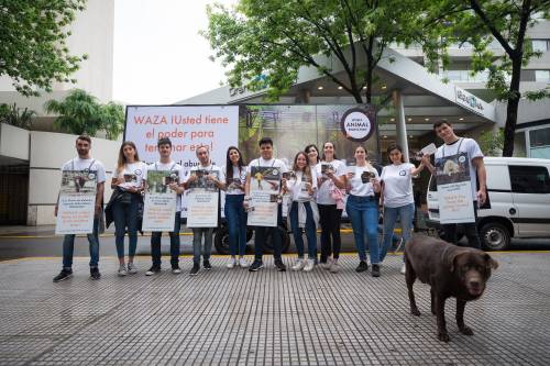 World Animal Protection exige el bienestar de los animales