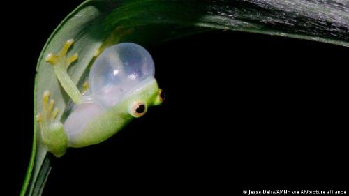 64193131_303 64193131_303