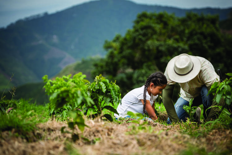 Consumo responsable Consumo responsable