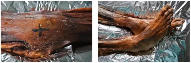 momia tatuaje2 momia tatuaje2