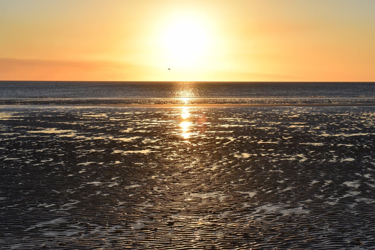 Atardecer brillante sobre el mar, en Puerto Pirámides, Península Valdés