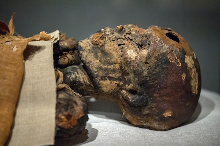 momia ¡De terror! El escalofriante secreto que revelaron las momias de Atacama