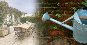 ¿Eliminar manchas verdes de las baldosas del patio? Haz esto y déjalo como nuevo