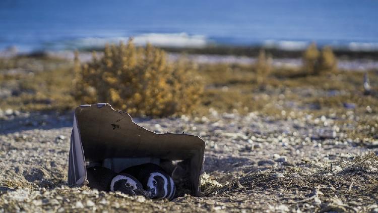 Pinguino magallanes Pat. Azul Maike Friedrich 2 Pinguino magallanes Pat. Azul Maike Friedrich 2