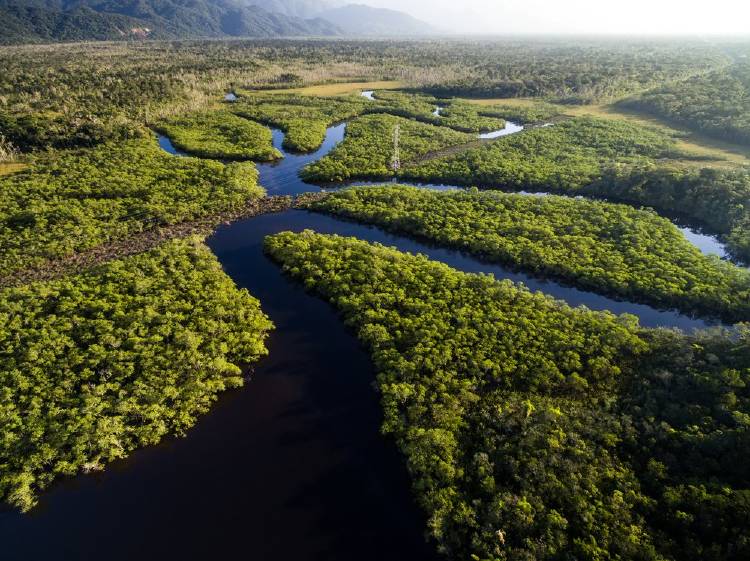 amazonas