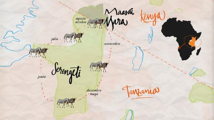 Mapa de la Gran Migración Mapa de la Gran Migracion en el Serengeti