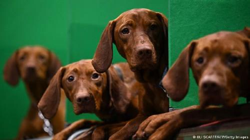 64946673_303 64946673_303