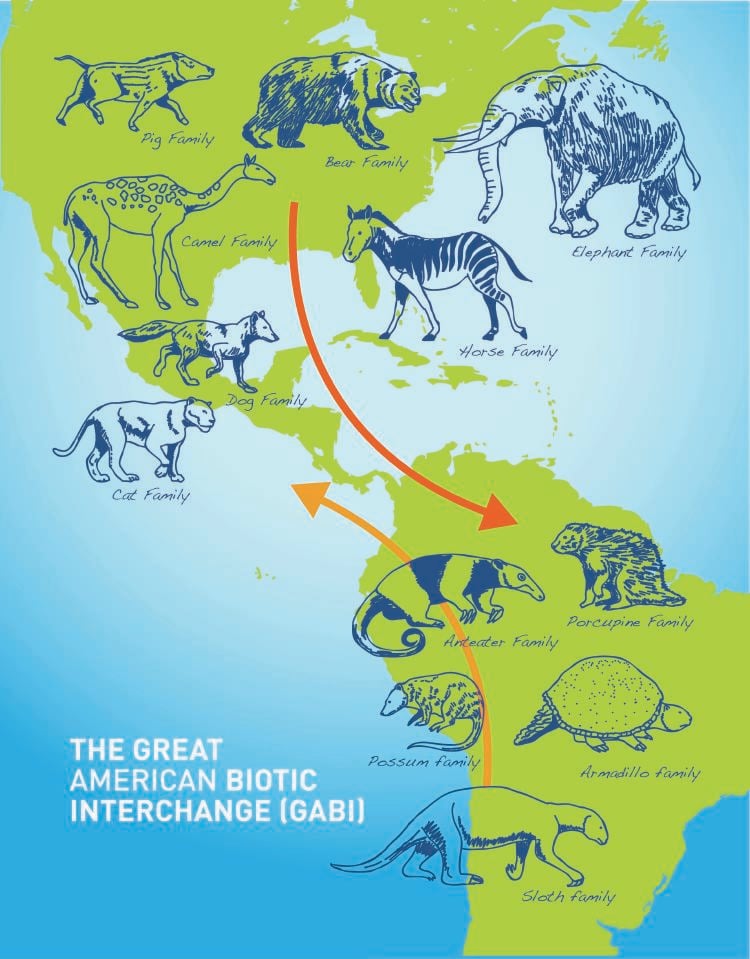 Grupos que migraron durante el GABI hacia Sudamérica y Norteamérica Grupos que migraron durante el GABI hacia Sudamérica y Norteamérica