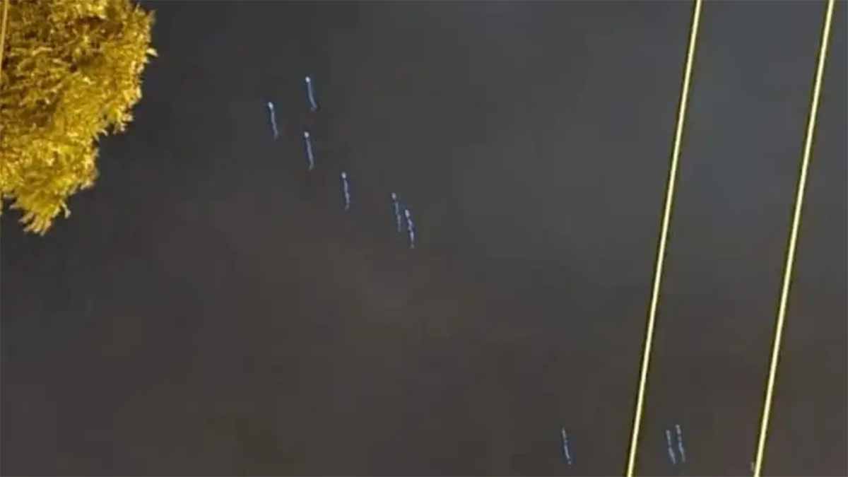 santigo del estero ovnis santigo del estero ovnis