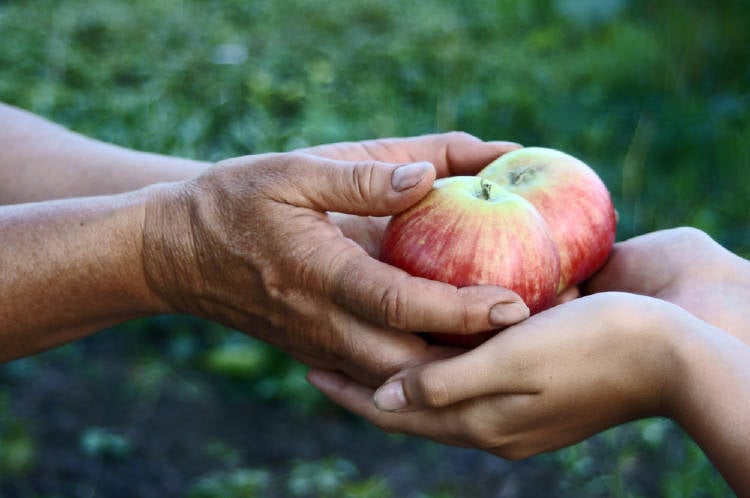 dar manzana