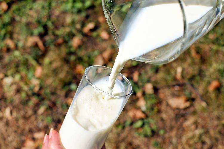 Sirviendo leche en un vaso