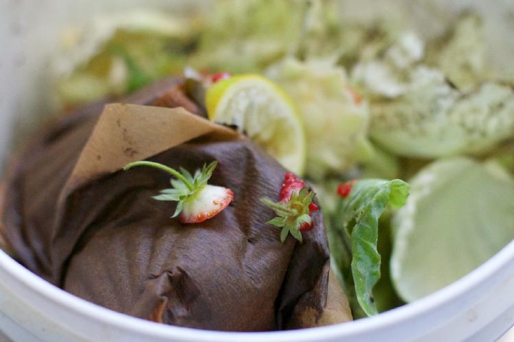 Abono-organico-casero ¿Cómo hacer abono orgánico?