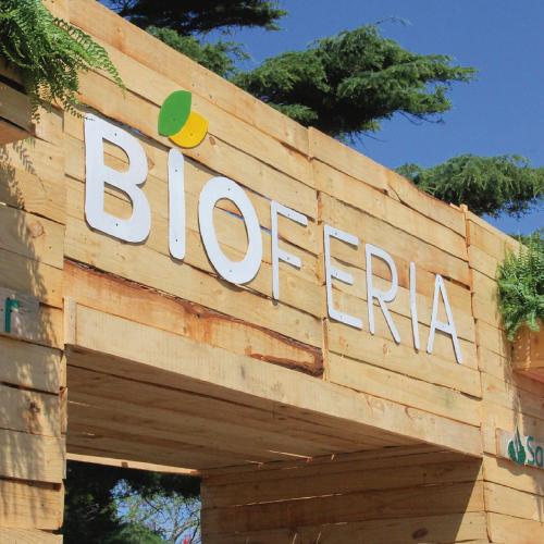 WhatsApp Image 2021 12 02 at 7.23.33 PM WhatsApp Image 2021 12 02 at 7.23.33 PM