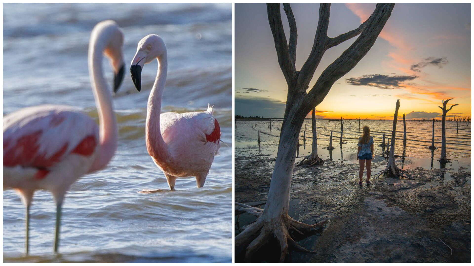 Parque Nacional Parque Nacional