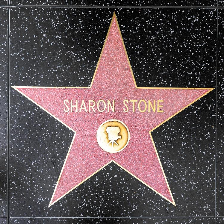 Sharon Stone Leonardo DiCaprio