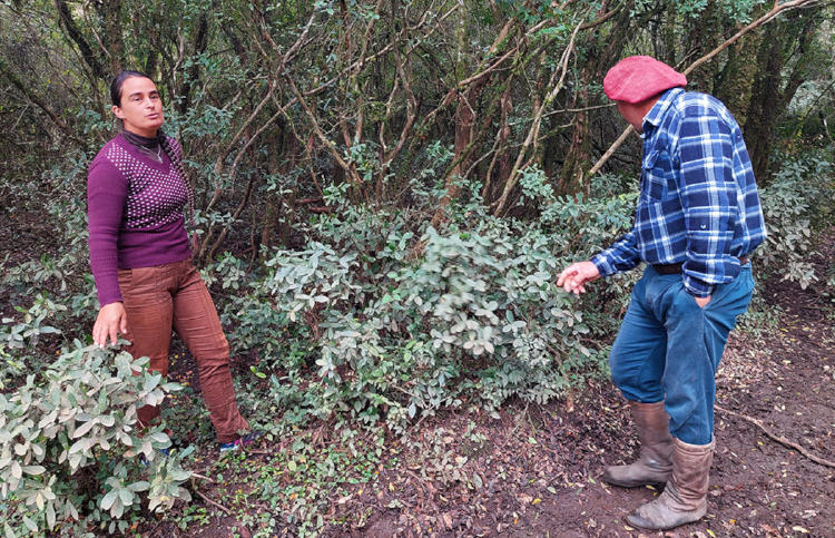 uruguay sequía2 uruguay sequía2