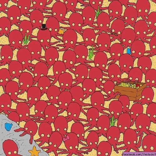 desafío visual desafío visual